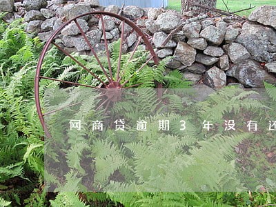 网商贷逾期3年没有还款通道了 网商贷逾期3年没有还款通道了