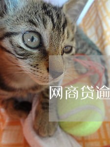 网商贷逾期3月后来还上了 网商贷逾期3月后来还上了