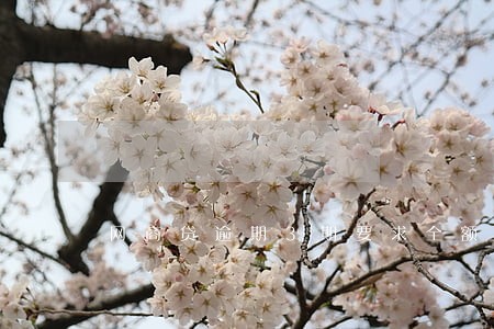 网商贷逾期3期要求全额还款 网商贷逾期3期要求全额还款
