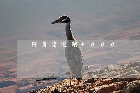 网商贷逾期4000 网商贷逾期4000