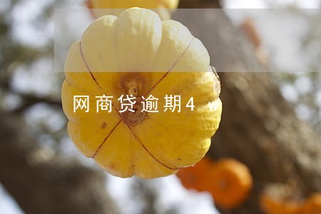 网商贷逾期4w 网商贷逾期4w