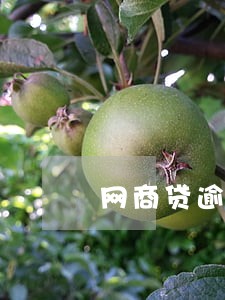网商贷逾期4万多 网商贷逾期4万多