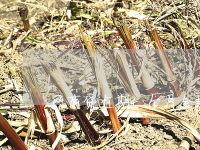 网商贷逾期4个月会起诉吗 网商贷逾期4个月会起诉吗