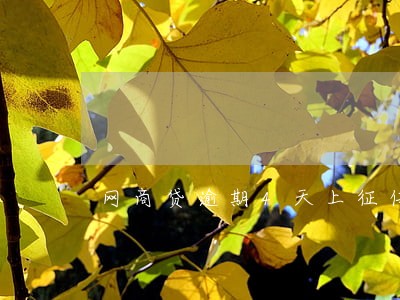 网商贷逾期4天上征信