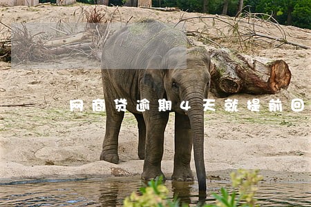 网商贷逾期4天就提前回收 网商贷逾期4天就提前回收
