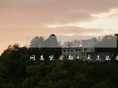 网商贷逾期4天怎么办 网商贷逾期4天怎么办