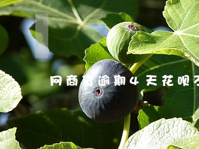 网商贷逾期4天花呗不能用