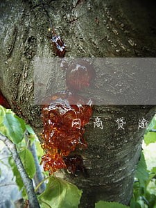 网商贷逾期5000 网商贷逾期5000