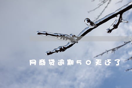 网商贷逾期50天还了 网商贷逾期50天还了