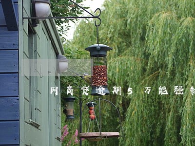 网商贷逾期5万能强制上岸吗 网商贷逾期5万能强制上岸吗