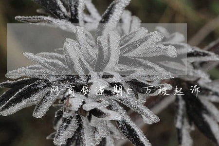 网商贷逾期5万被起诉 网商贷逾期5万被起诉