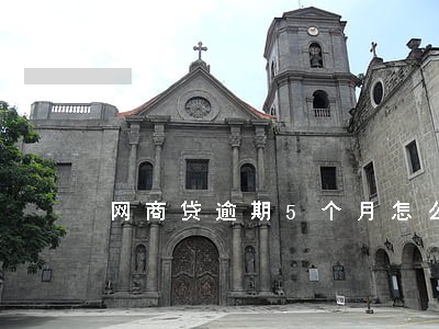 网商贷逾期5个月怎么协商 网商贷逾期5个月怎么协商