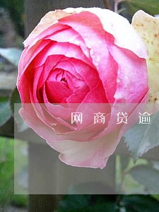 网商贷逾期5天会怎么样 网商贷逾期5天会怎么样