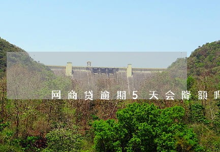 网商贷逾期5天会降额吗 网商贷逾期5天会降额吗
