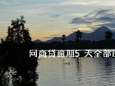 网商贷逾期5天全部还了 网商贷逾期5天全部还了