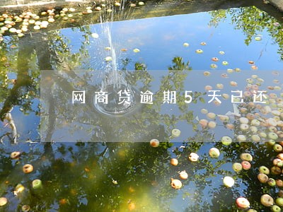 网商贷逾期5天已还 网商贷逾期5天已还