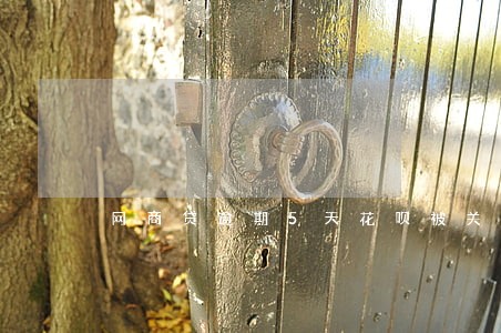 网商贷逾期5天花呗被关了 网商贷逾期5天花呗被关了