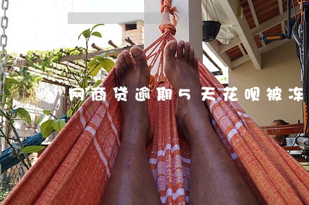网商贷逾期5天花呗被冻结 网商贷逾期5天花呗被冻结