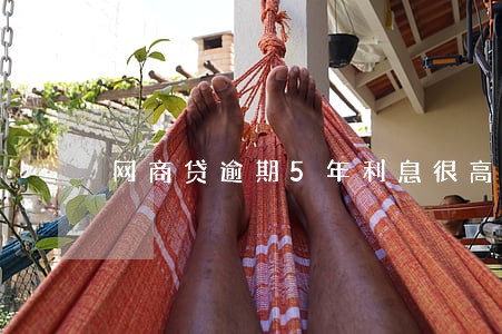 网商贷逾期5年利息很高怎么办 网商贷逾期5年利息很高怎么办