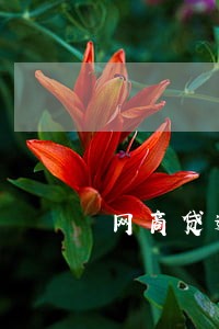 网商贷逾期67天了