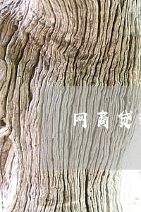 网商贷逾期6万会坐牢吗
