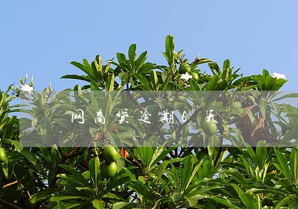 网商贷逾期6天 网商贷逾期6天
