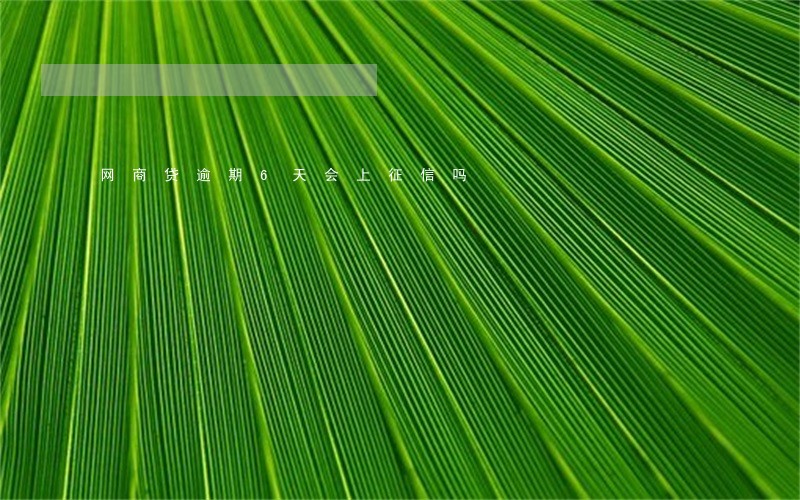 网商贷逾期6天会上征信吗 网商贷逾期6天会上征信吗