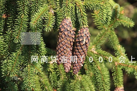网商贷逾期7000会上门吗 网商贷逾期7000会上门吗