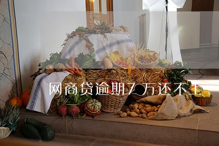网商贷逾期7万还不上 网商贷逾期7万还不上