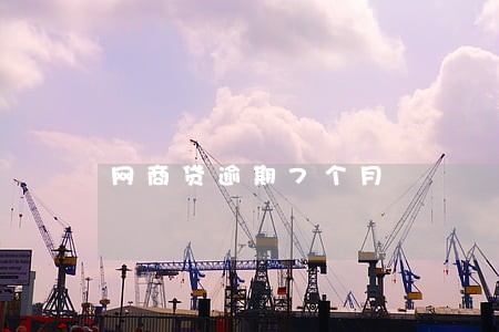 网商贷逾期7个月 网商贷逾期7个月