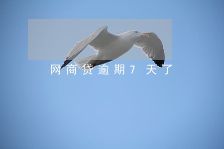 网商贷逾期7天了 网商贷逾期7天了
