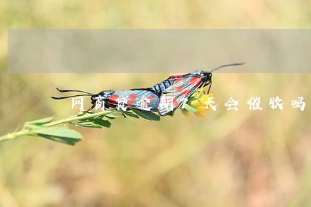 网商贷逾期7天会催收吗 网商贷逾期7天会催收吗