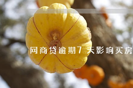 网商贷逾期7天影响买房吗 网商贷逾期7天影响买房吗