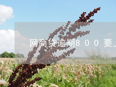 网商贷逾期800要上门核实情况 网商贷逾期800要上门核实情况
