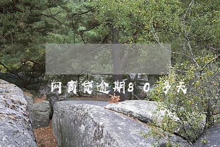 网商贷逾期80多天 网商贷逾期80多天