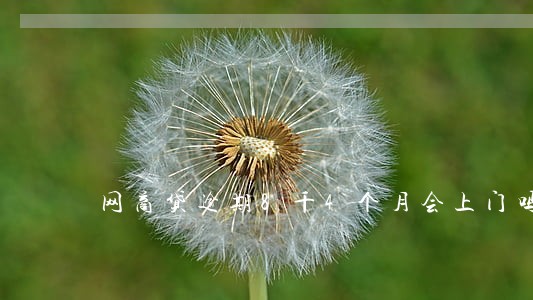 网商贷逾期8千4个月会上门吗 网商贷逾期8千4个月会上门吗