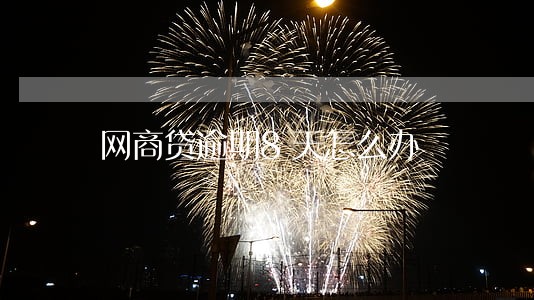 网商贷逾期8天怎么办 网商贷逾期8天怎么办