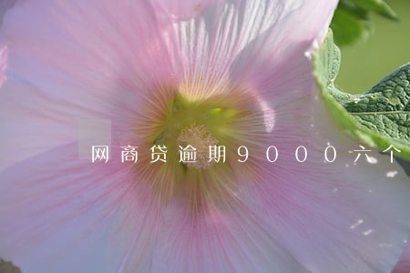 网商贷逾期9000六个月了 网商贷逾期9000六个月了