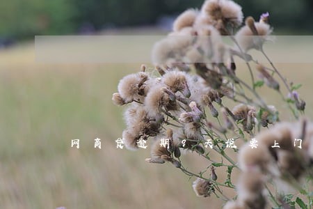 网商贷逾期9天说要上门 网商贷逾期9天说要上门