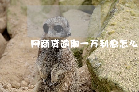 网商贷逾期一万利息怎么算 网商贷逾期一万利息怎么算