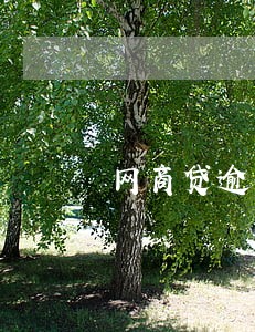 网商贷逾期一两天没事吧 网商贷逾期一两天没事吧