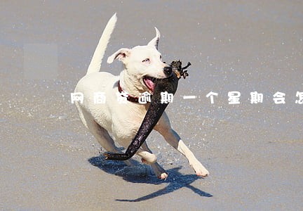 网商贷逾期一个星期会怎么样 网商贷逾期一个星期会怎么样