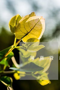 网商贷逾期一个星期会打电话