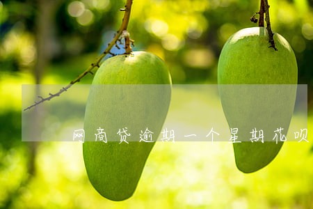 网商贷逾期一个星期花呗会停了吗 网商贷逾期一个星期花呗会停了吗