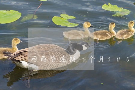 网商贷逾期一个月300元 网商贷逾期一个月300元