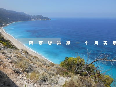 网商贷逾期一个月买房 网商贷逾期一个月买房