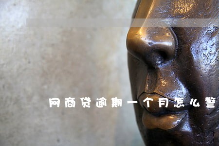网商贷逾期一个月怎么警察就来了 网商贷逾期一个月怎么警察就来了