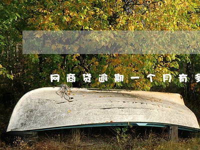 网商贷逾期一个月有多少利息 网商贷逾期一个月有多少利息