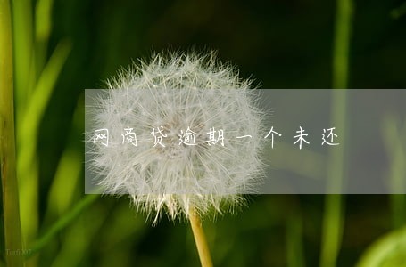 网商贷逾期一个未还 网商贷逾期一个未还