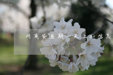 网商贷逾期一天上征信怎么办 网商贷逾期一天上征信怎么办